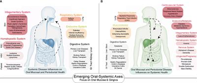 The “Gum–Gut” Axis in Inflammatory Bowel Diseases: A Hypothesis-Driven Review of Associations and Advances